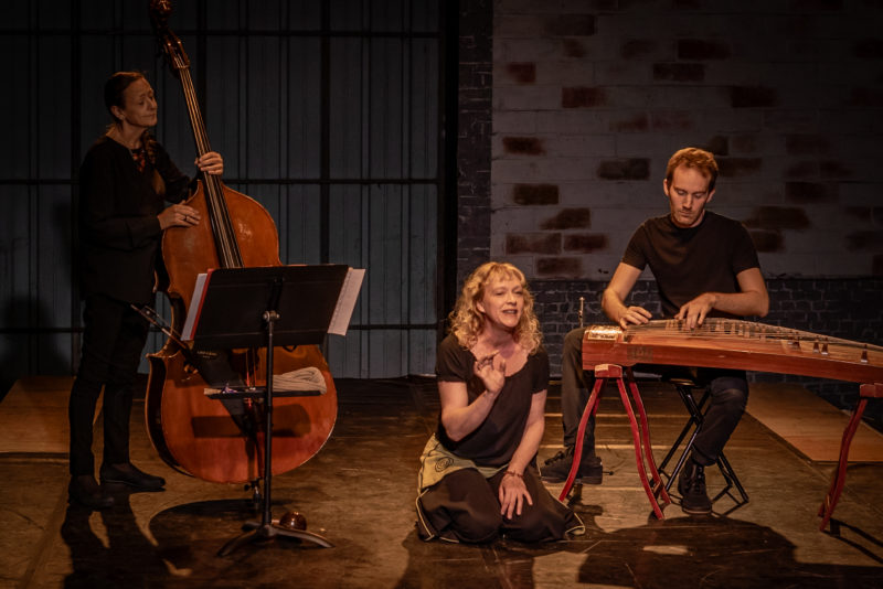 Emmanuelle Gryson et les musiciens du spectacle de conte musical Il était une première fois